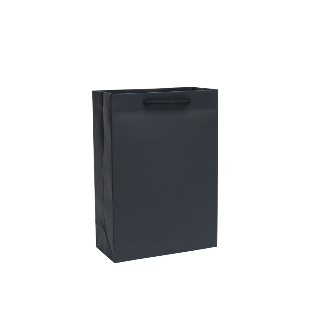 GoPlayer紙質禮品袋