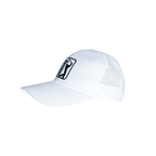 PGA ゴルフ パンチング ボール ラベル キャップ